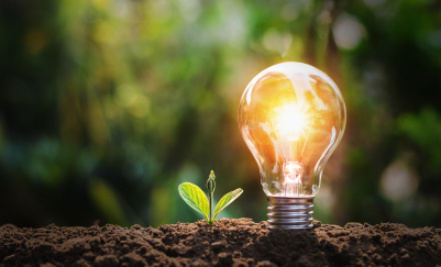 Innovatively Sustainable